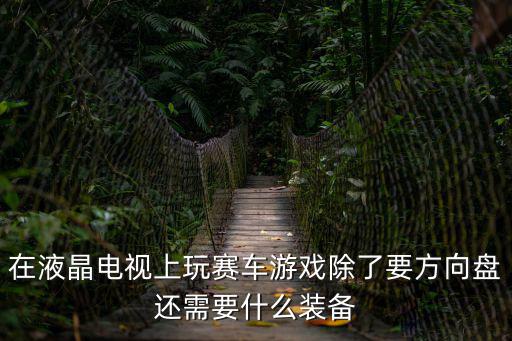 在液晶电视上玩赛车游戏除了要方向盘还需要什么装备