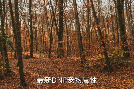 dnf至尊宠物什么属性，DNF所有的宠物和其属性