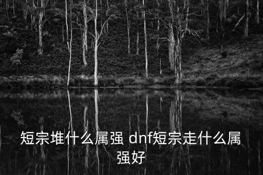 短宗堆什么属强 dnf短宗走什么属强好