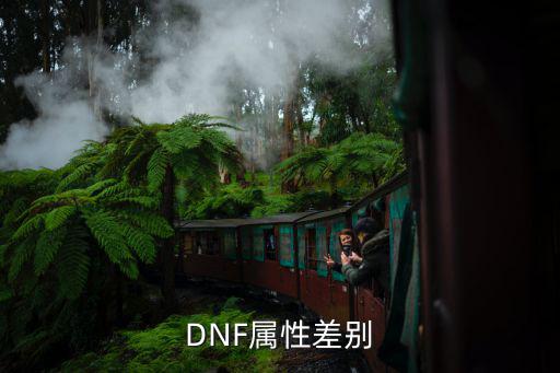 DNF属性差别