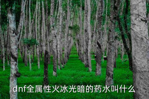 dnf全属性火冰光暗的药水叫什么