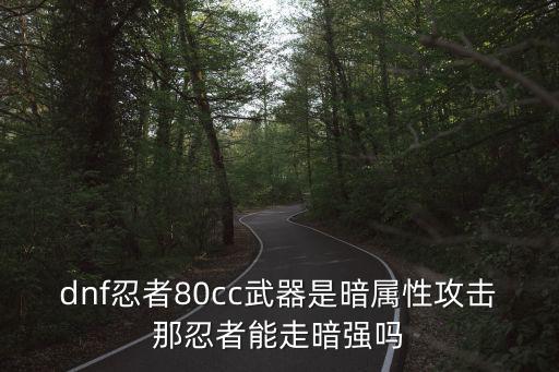 dnf忍者走什么属性，dnf忍者80cc武器是暗属性攻击那忍者能走暗强吗