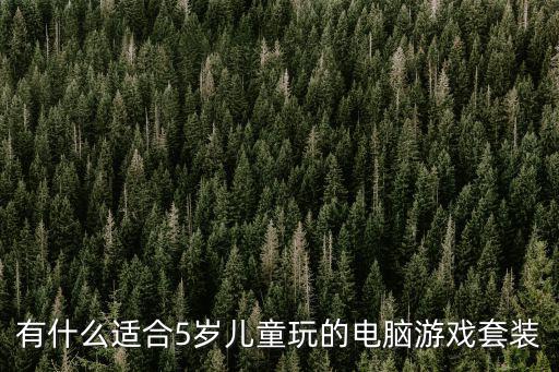 有什么适合5岁儿童玩的电脑游戏套装