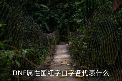 DNF属性图红字白字各代表什么