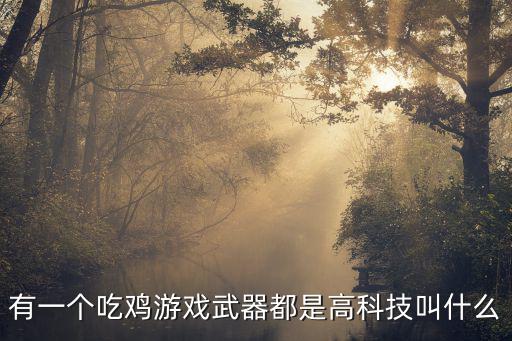 有一个吃鸡游戏武器都是高科技叫什么