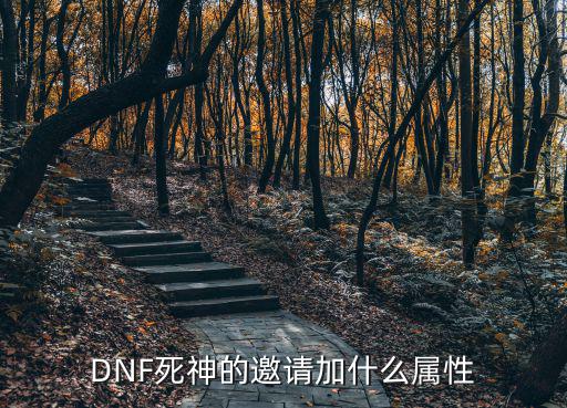 DNF死神的邀请加什么属性