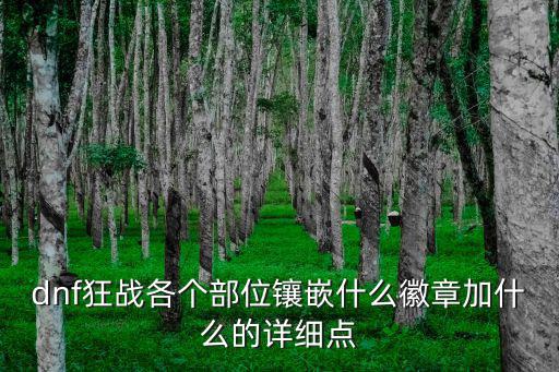 dnf狂战各个部位镶嵌什么徽章加什么的详细点