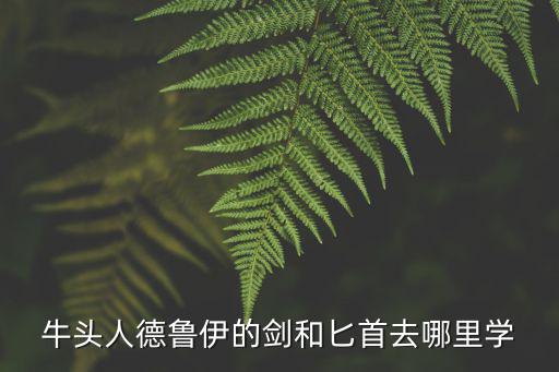牛头人游戏装备在哪里，牛头人德鲁伊的剑和匕首去哪里学