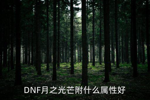 DNF月之光芒附什么属性好