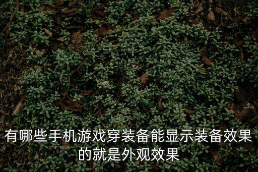 有哪些手机游戏穿装备能显示装备效果的就是外观效果