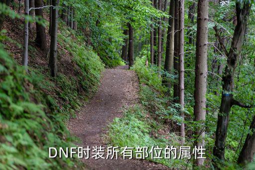 dnf内衣套什么属性，DNF时装所有部位的属性