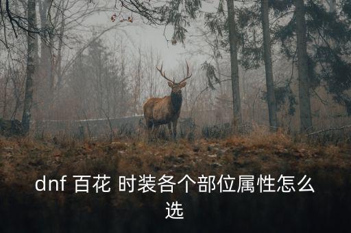 dnf 百花 时装各个部位属性怎么选
