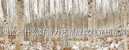 dnf鬼泣什么属性最好，鬼泣加什么属性好
