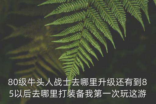 80级牛头人战士去哪里升级还有到85以后去哪里打装备我第一次玩这游