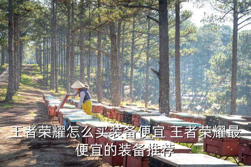 手机游戏装备在哪里买便宜，王者荣耀怎么买装备便宜 王者荣耀最便宜的装备推荐