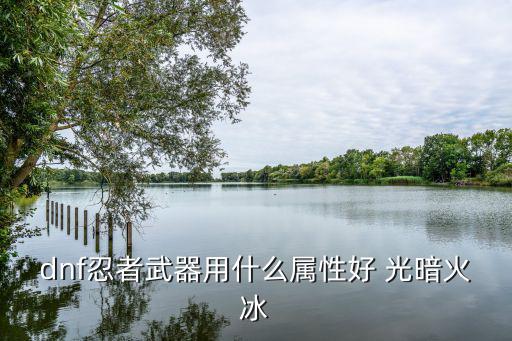 dnf忍者武器用什么属性好 光暗火冰