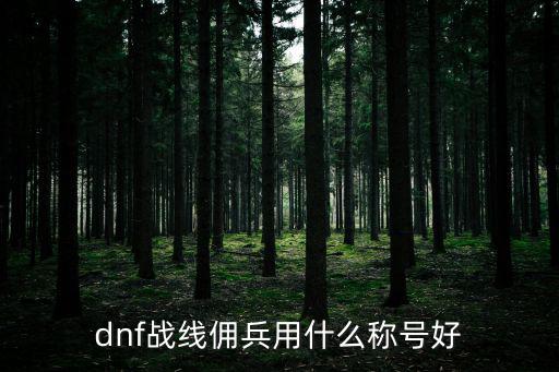 dnf战线佣兵要什么属性，Dnf佣兵走什么属强