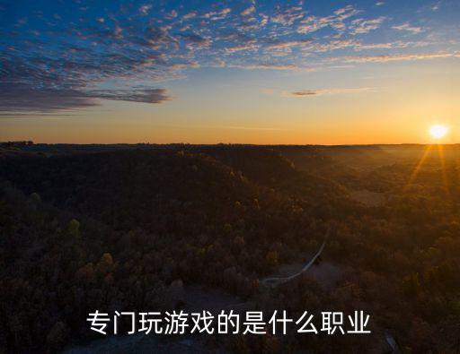 专门玩游戏的是什么职业