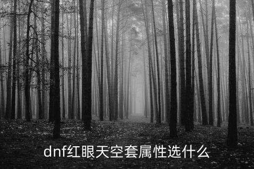 dnf红眼选择什么属性，dnf红眼时装属性选择 头部应该选择什么饰品