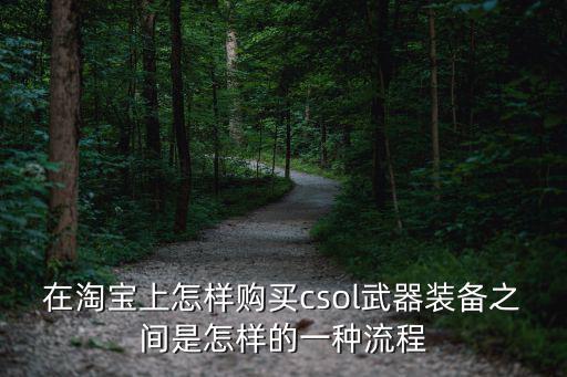 在淘宝上怎样购买csol武器装备之间是怎样的一种流程