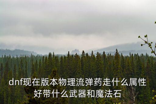 dnf现在版本物理流弹药走什么属性好带什么武器和魔法石