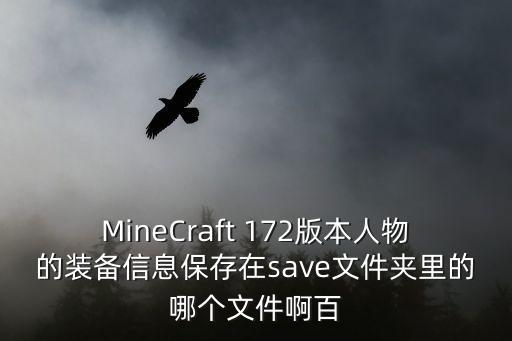MineCraft 172版本人物的装备信息保存在save文件夹里的哪个文件啊百