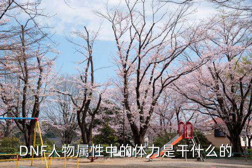 DNF人物属性中的体力是干什么的