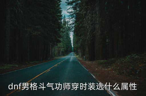 dnf男格斗气功师穿时装选什么属性
