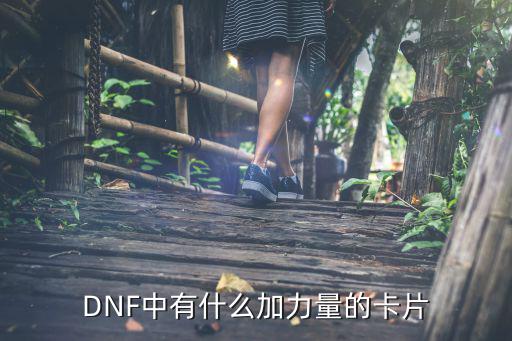 dnf章鱼卡片什么属性，DNF中有什么加力量的卡片