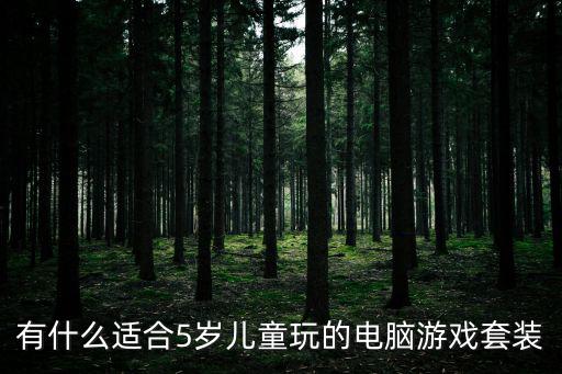 有什么适合5岁儿童玩的电脑游戏套装