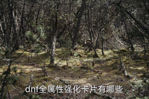 dnf全属性强化卡片有哪些