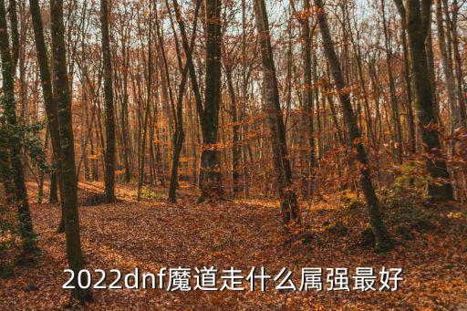 2022dnf魔道走什么属强最好