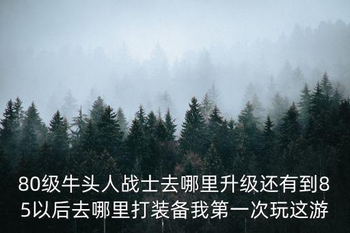 80级牛头人战士去哪里升级还有到85以后去哪里打装备我第一次玩这游