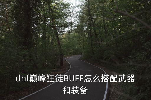 dnf巅峰狂徒什么属性，DNF狂战士什么属性