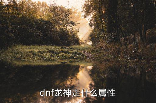 dnf龙神加什么属性，dnf龙神走什么属性