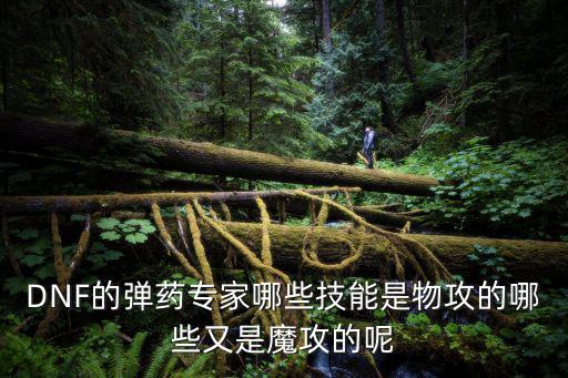 DNF的弹药专家哪些技能是物攻的哪些又是魔攻的呢