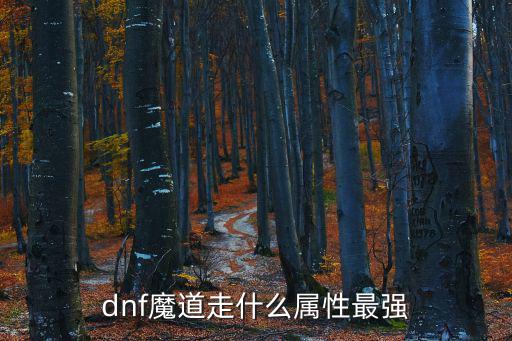 dnf魔道属于什么属性，2022dnf魔道走什么属强最好