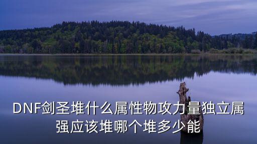 DNF剑圣堆什么属性物攻力量独立属强应该堆哪个堆多少能