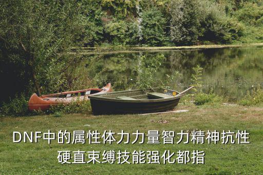 DNF中的属性体力力量智力精神抗性硬直束缚技能强化都指