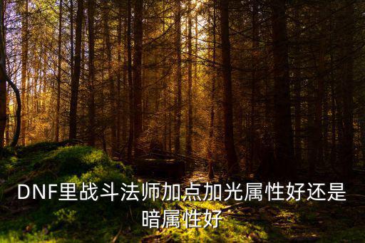 dnf战法打什么属性，dnf战斗法师是堆力量好还是物理攻击