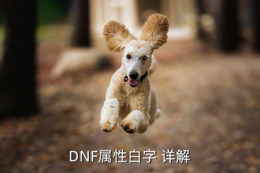 dnf属性白字加什么，DNF属性面板上的有些属性是白字是什么意思