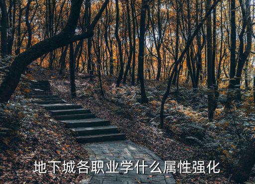 地下城各职业学什么属性强化