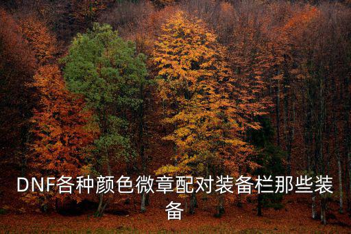 dnf蓝色徽章什么属性，蓝色徽章镶嵌什么属性比较好