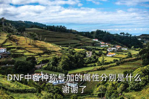 DNF中各种称号加的属性分别是什么谢谢了