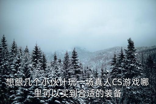 想跟几个小伙计玩一场真人CS游戏哪里可以买到合适的装备