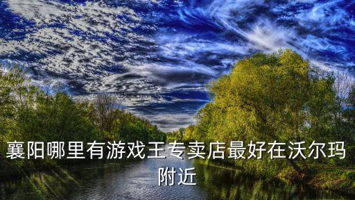 襄阳哪里有游戏王专卖店最好在沃尔玛附近