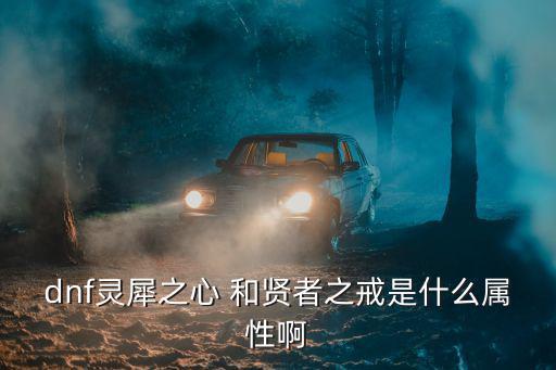 dnf灵犀是什么属性，dnf灵犀之心 和贤者之戒是什么属性啊