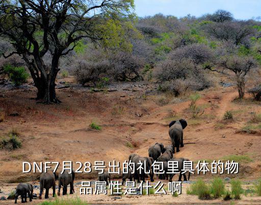 DNF7月28号出的礼包里具体的物品属性是什么啊