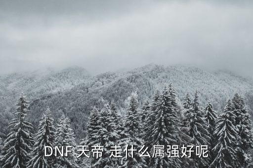 dnf天帝打造什么属性，DNF 天帝 走什么属强好呢