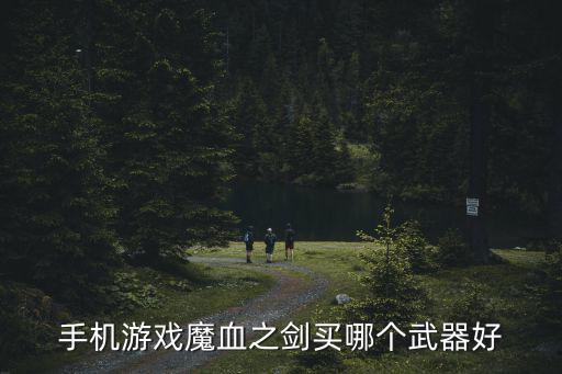 手机游戏魔血之剑买哪个武器好